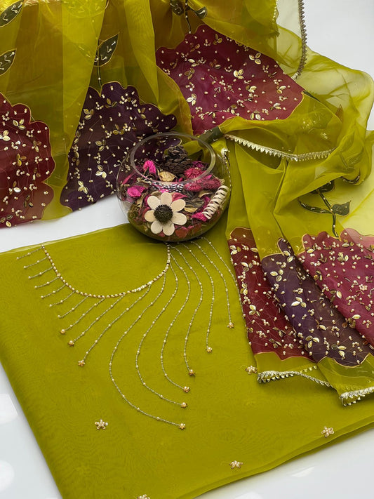 Organza Handwork & Zari Beads with Heavy Bunch Dupatta 2Pcs Dress