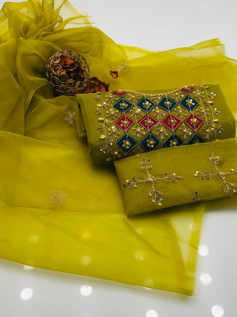 Bright Organza Aari Embroidery and Applic Work Shirt with Dupatta 2Pcs Dress