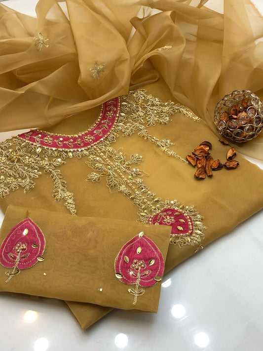 Brilliance Organza Shirt with Embroidered Dupatta 2Pcs Dress