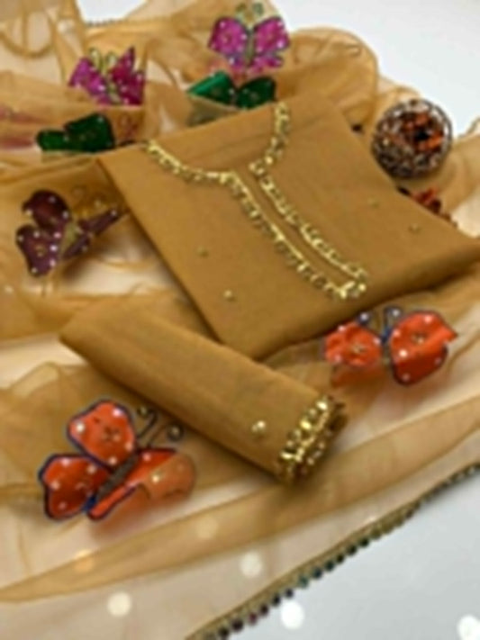 Regal Organza Handwork Suit With Brush Paint Dupatta 2Pcs Dress