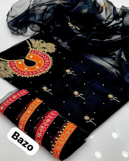 Stunning Organza Aari Zari Work 2Pcs Dress
